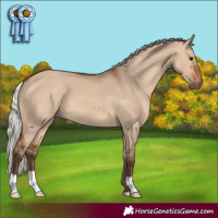 Horse Color:Silver Brown Dun 