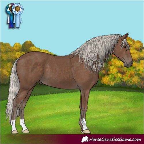 Horse Color:Silver Black 
