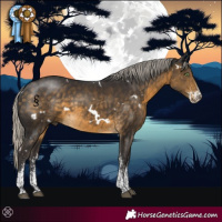 Horse Color:White Spotted Silver Buckskin