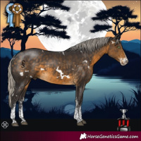 Horse Color:White Spotted Silver Buckskin 