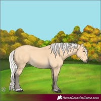 Horse Color:Silver Buckskin