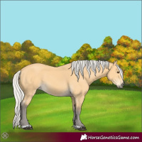 Horse Color:Silver Buckskin 