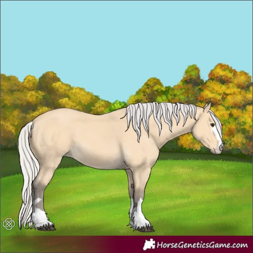 Horse Color:Silver Buckskin 