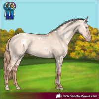 Horse Color:White Spotted Gold Champagne Dun 