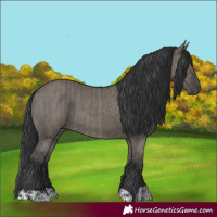 Horse Color:Grullo and Grullo