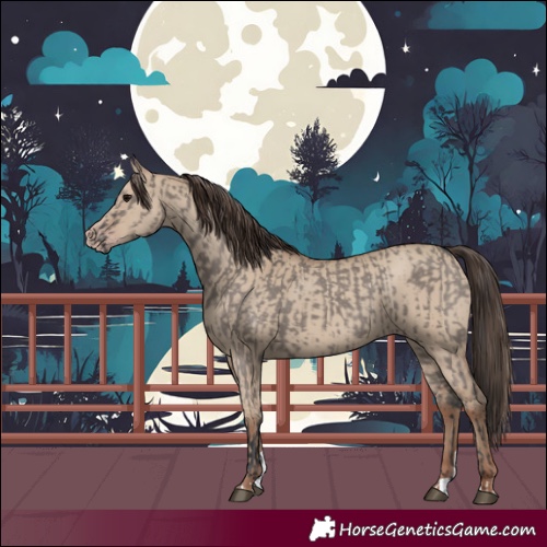 Horse Color:Grullo  and Classic Champagne Dun 