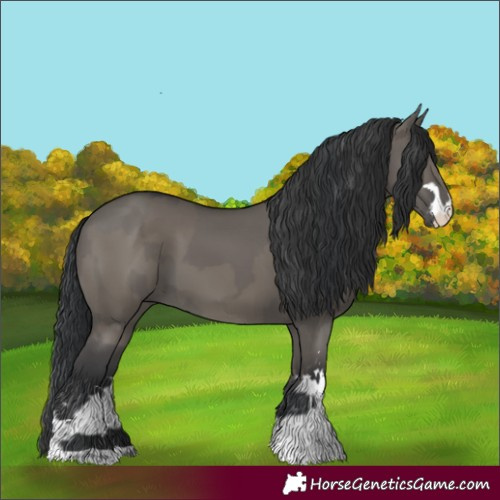Horse Color:Grullo  and Grullo 