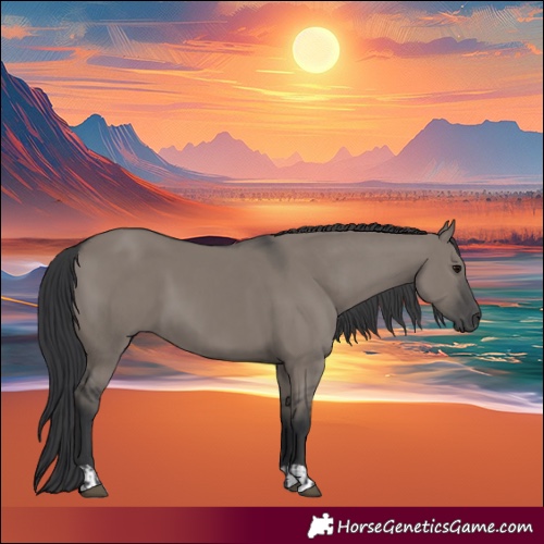 Horse Color:Grullo  and Grullo 