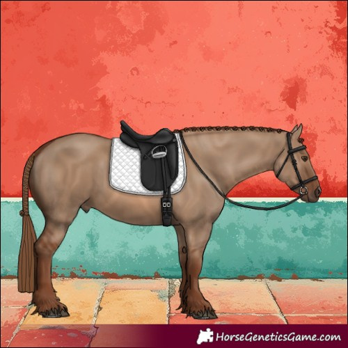 Horse Color:Red Dun