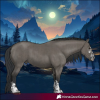Horse Color:Grullo  and Grullo 