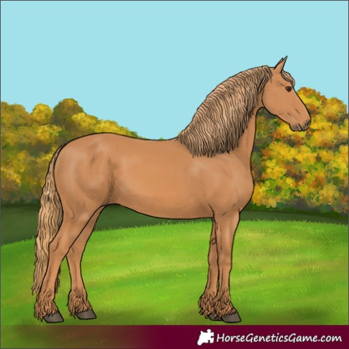 Horse Color:Chestnut 