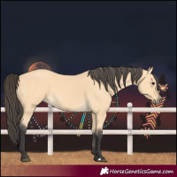 Horse Color:Buckskin 
