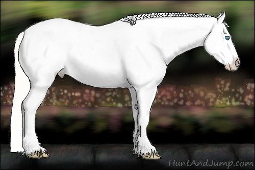 Horse Color:White Spotted Gold Cream Champagne Dun Varnish