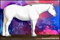 Horse Color:Red Dun Tobiano Blanket