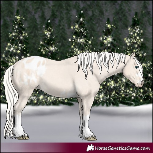 Horse Color:Cremello Varnish
