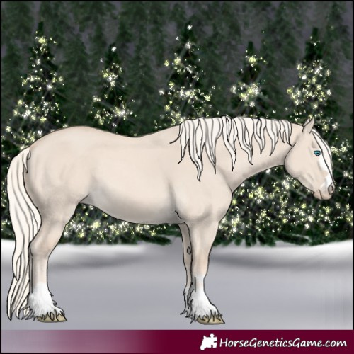 Horse Color:Cremello Dun 