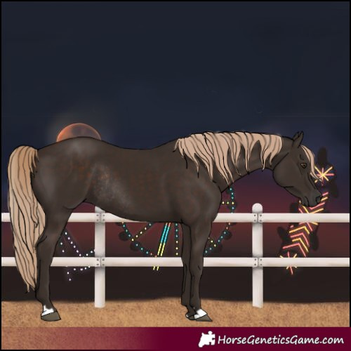 Horse Color:Liver Chestnut Rabicano 