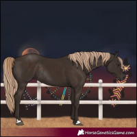 Horse Color:Liver Chestnut Rabicano 
