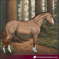 Horse Color:Red Dun 