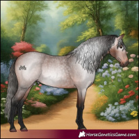 Horse Color:Gray Bay Roan 