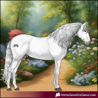 Horse Color:Gray Bay Roan 