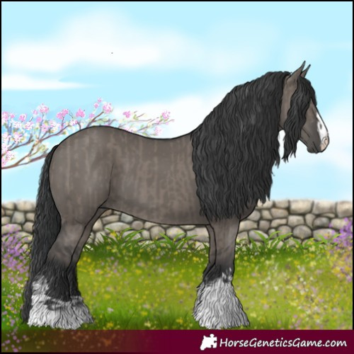 Horse Color:Grullo and Grullo