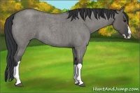 Horse Color:Unknown 