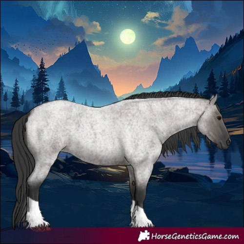 Horse Color:Grullo Roan Tobiano