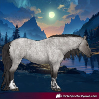 Horse Color:Smoky Grullo Roan  and Smoky Grullo Roan 