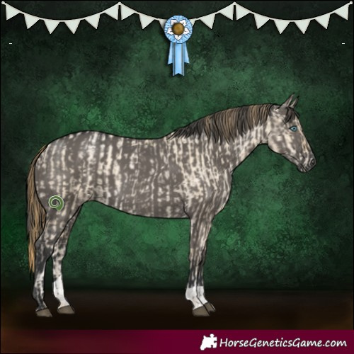 Horse Color:Grullo Snowdrop Pearl and Grullo