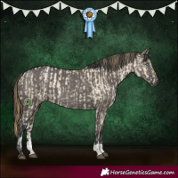 Horse Color:Grullo Snowdrop Pearl and Grullo