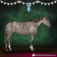 Horse Color:Grullo Pearl  and Grullo 