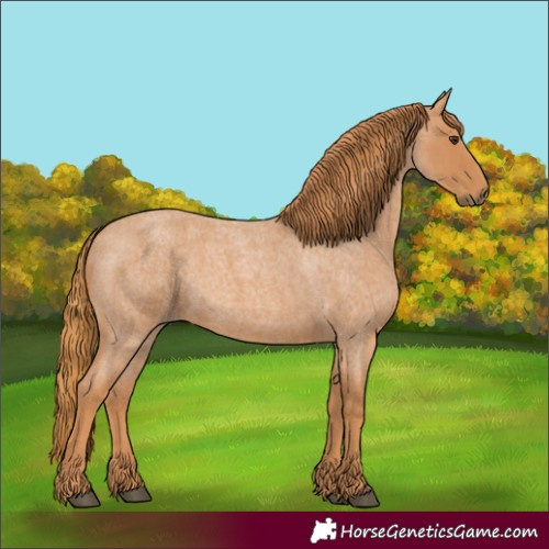 Horse Color:Red Roan 