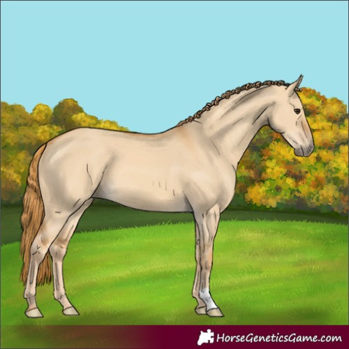 Horse Color:Red Dun 