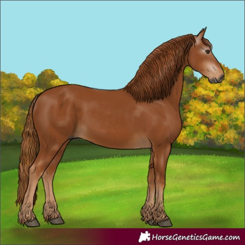 Horse Color:Gray Chestnut 
