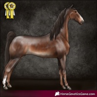 Horse Color:Liver Chestnut Sabino Rabicano 