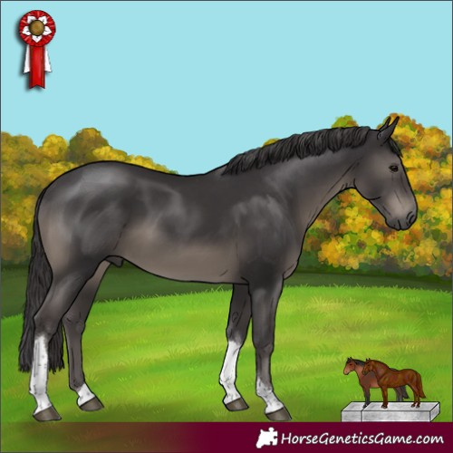 Horse Color:Smoky Black Tobiano Rabicano 