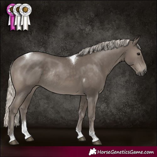 Horse Color:Silver Smoky Black Tobiano Rabicano