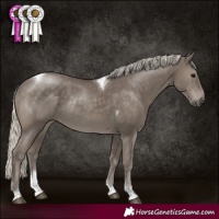 Horse Color:Silver Smoky Black Tobiano Rabicano 