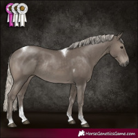 Horse Color:Silver Smoky Black Tobiano Rabicano