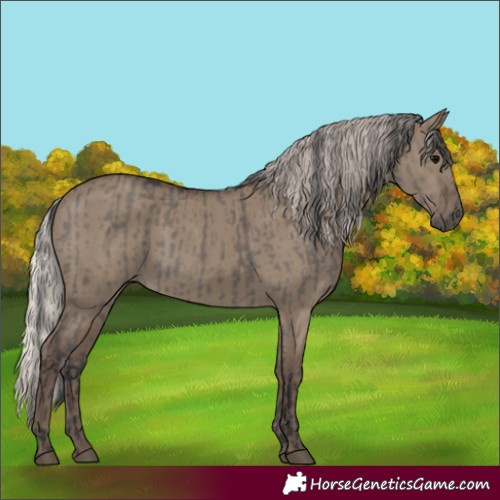 Horse Color:Grullo  and Silver Grullo 