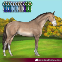 Horse Color:Amber Champagne Sabino 