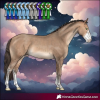 Horse Color:Amber Champagne Sabino 