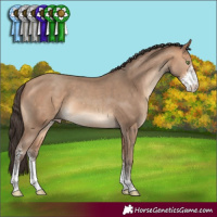 Horse Color:Amber Champagne Sabino