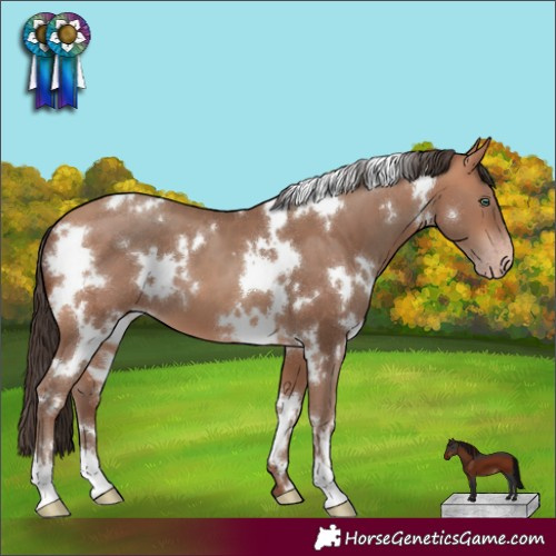 Horse Color:White Spotted Amber Champagne 