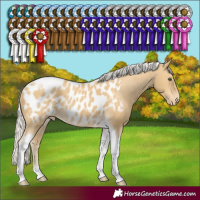 Horse Color:Silver Classic Cream Champagne Tobiano Blanket Rabicano 