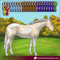 Horse Color:Silver Classic Cream Champagne Tobiano Appaloosa Rabicano 