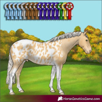 Horse Color:Silver Classic Cream Champagne Tobiano Appaloosa Rabicano 