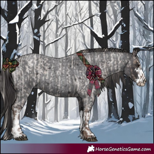 Horse Color:Silver Blue Roan  and White Spotted Smoky Blue Roan 