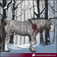 Horse Color:Silver Blue Roan and White Spotted Smoky Blue Roan